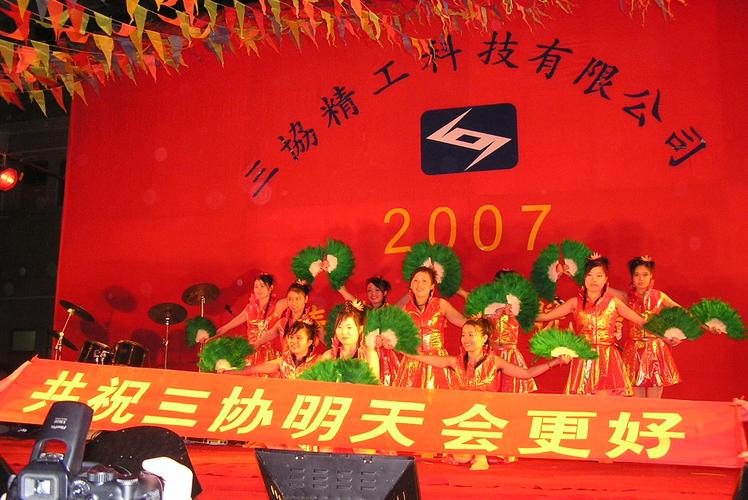 广东鹏龙光电股份